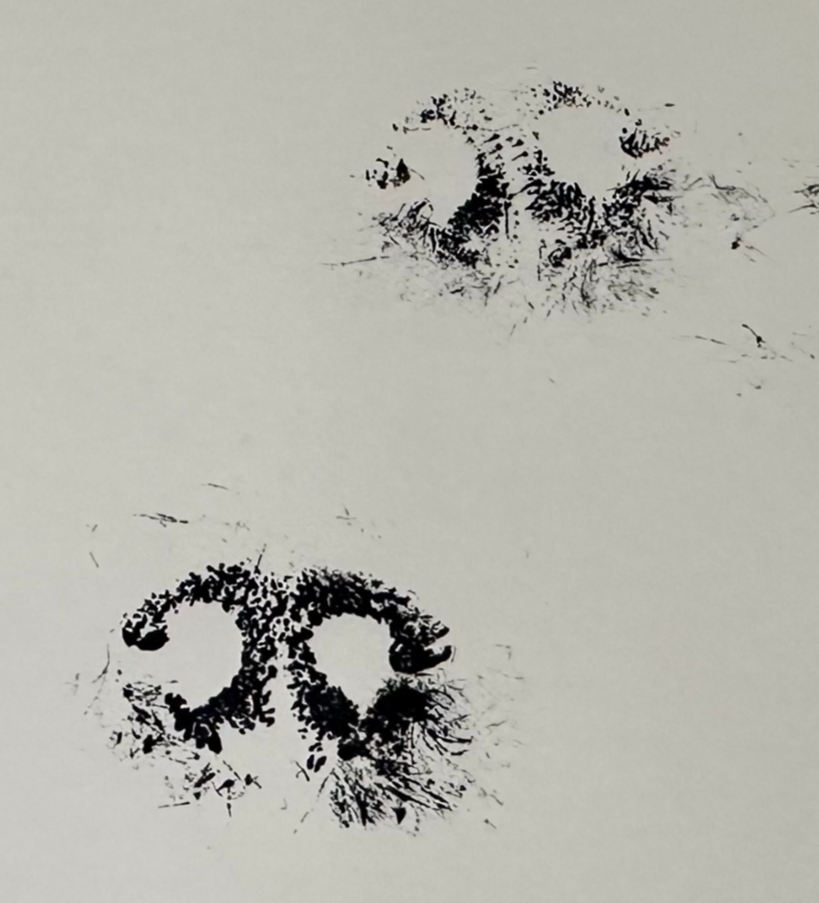 Dog nose print taken from an ink print or photo - Maya Belle Jewelry 