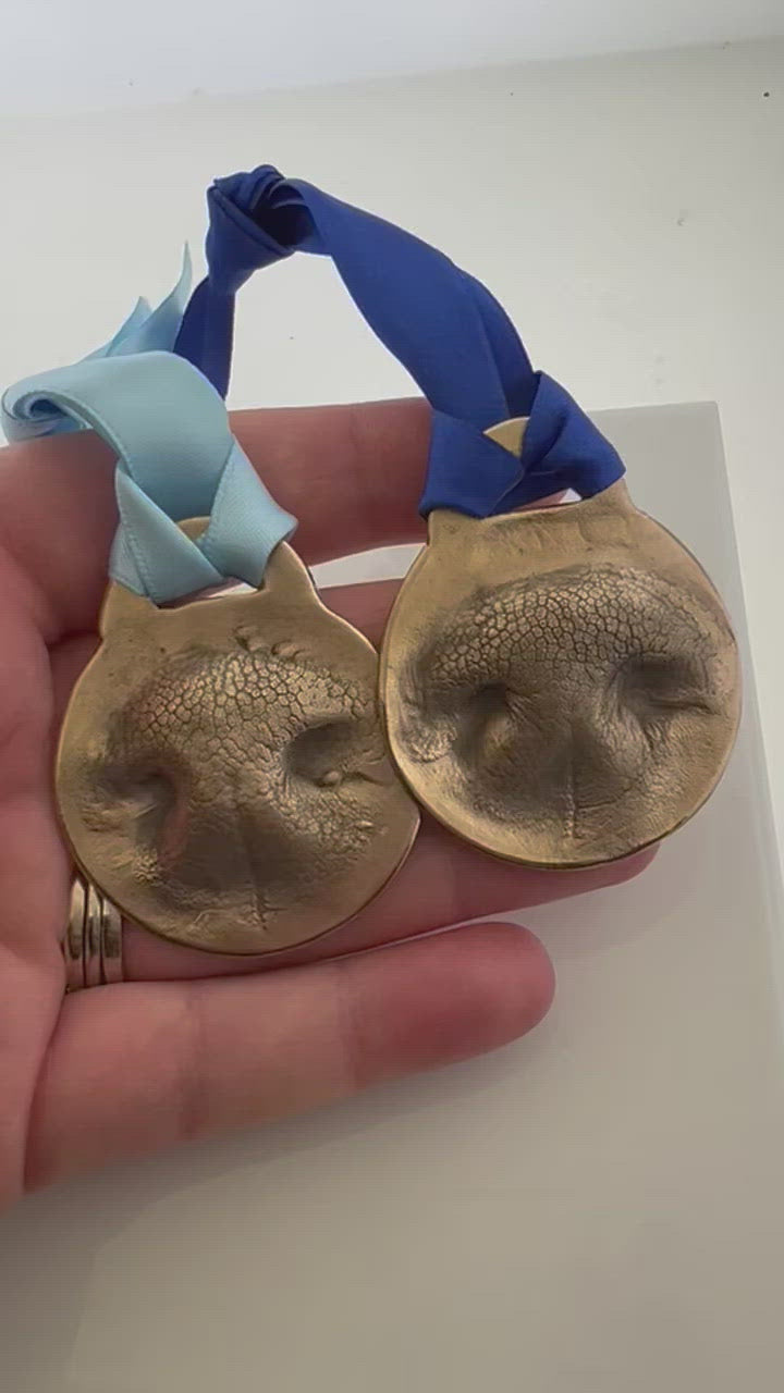 Pet Nose Ornament