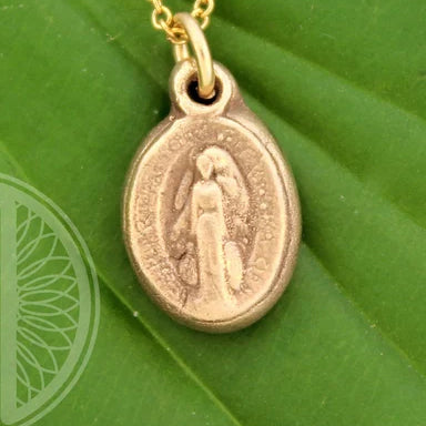 Miraculous Mary Medallion Charm Necklace - Maya Belle Jewelry 